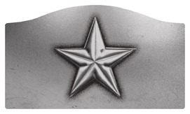 DASHELL-430-SL Star Silver